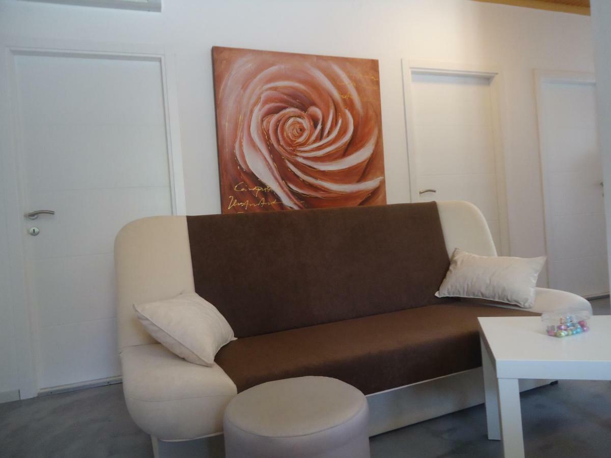 Appartement Ines à Novi Vinodolski Extérieur photo